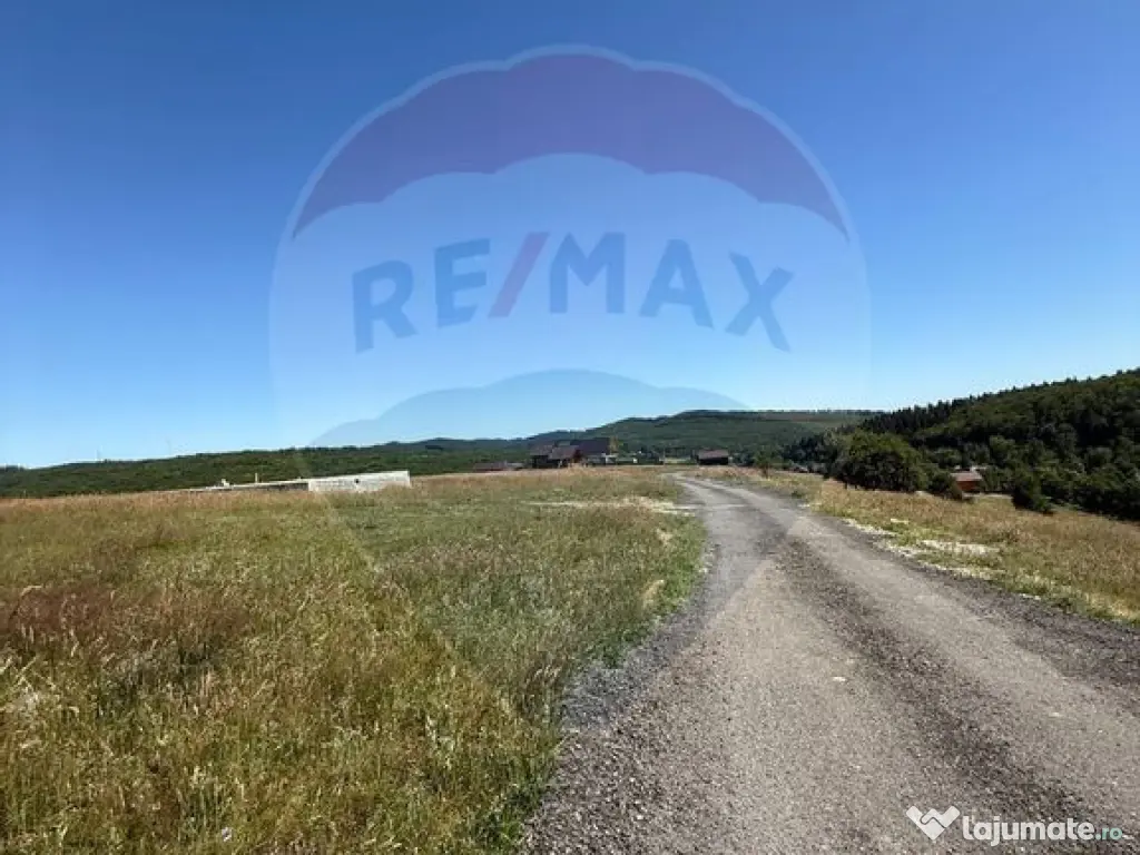 Teren 3,757mp Paltinoasa / Strada principala 