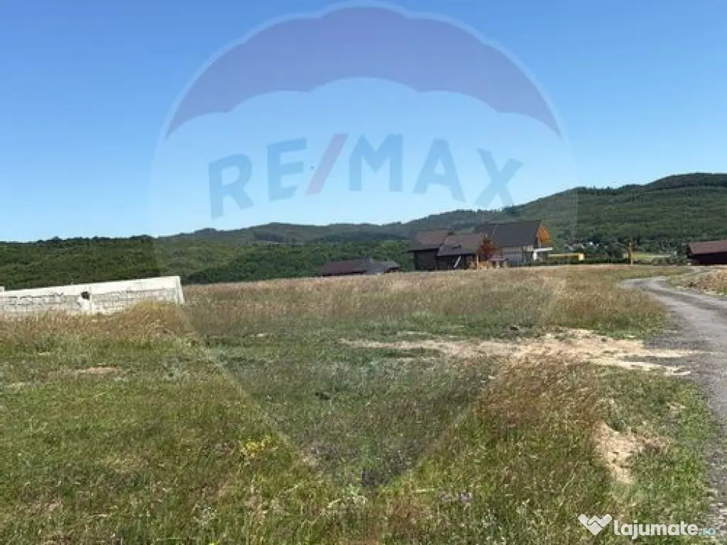 Teren 3,757mp Paltinoasa / Strada principala 