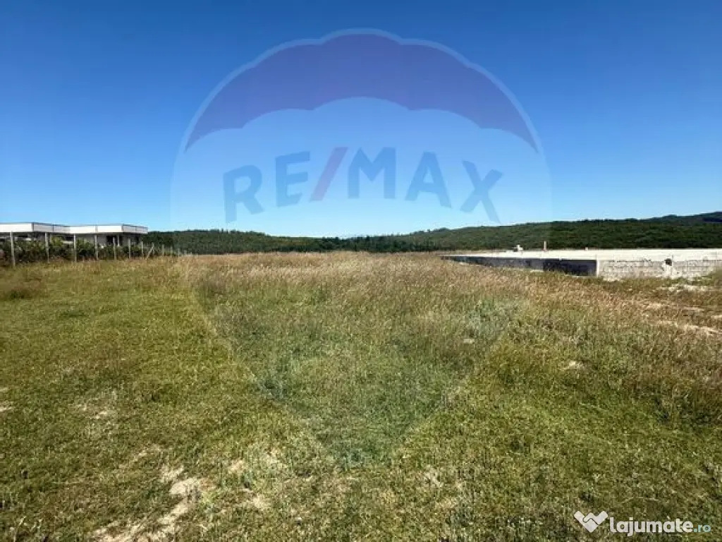 Teren 3,757mp Paltinoasa / Strada principala 