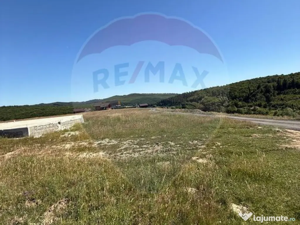 Teren 3,757mp Paltinoasa / Strada principala 