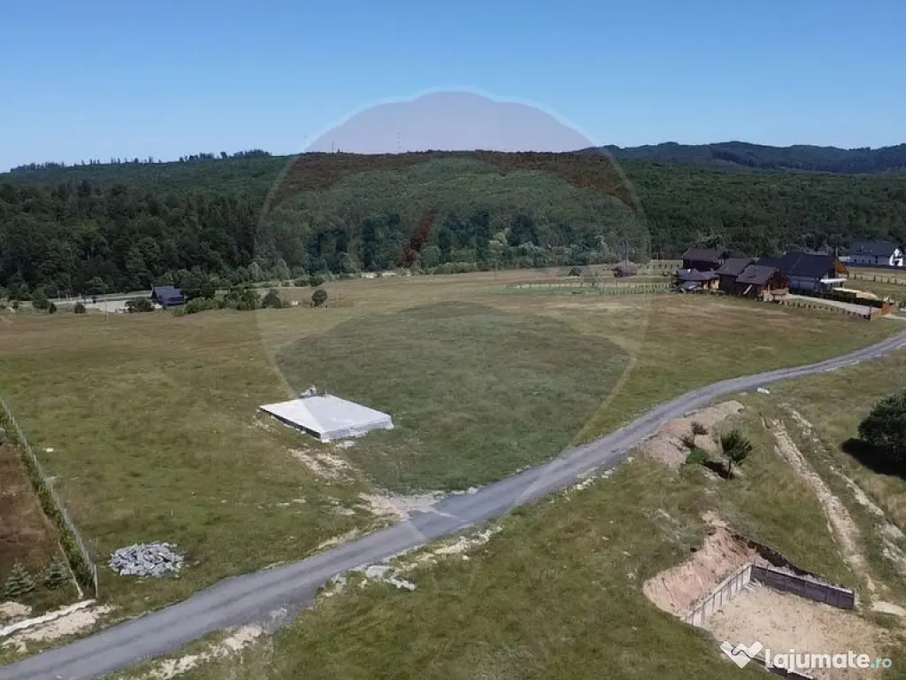 Teren 3,757mp Paltinoasa / Strada principala 