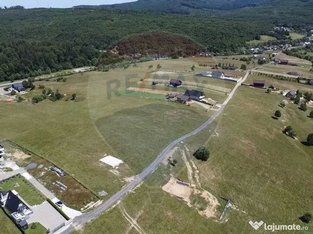 Teren 3,757mp Paltinoasa / Strada principala 