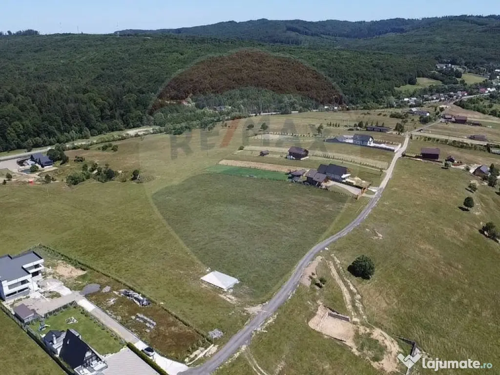 Teren 3,757mp Paltinoasa / Strada principala 