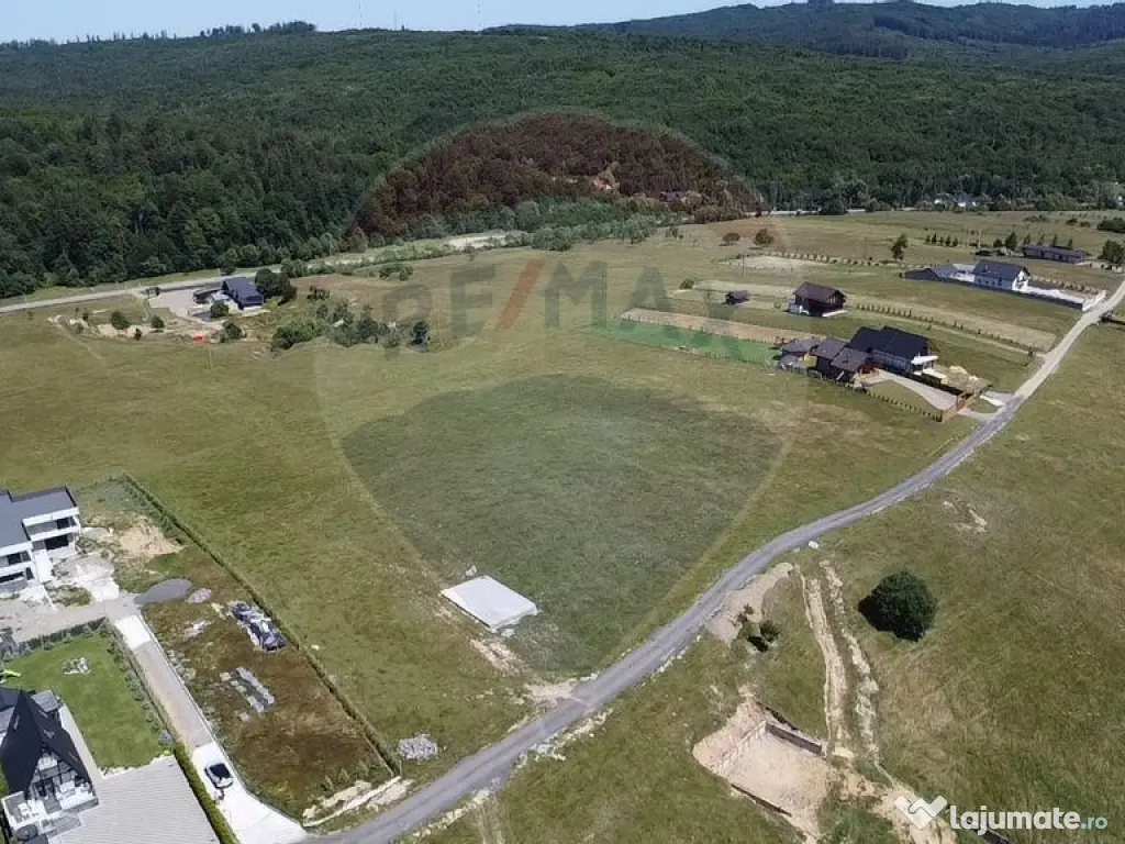 Teren 3,757mp Paltinoasa / Strada principala 