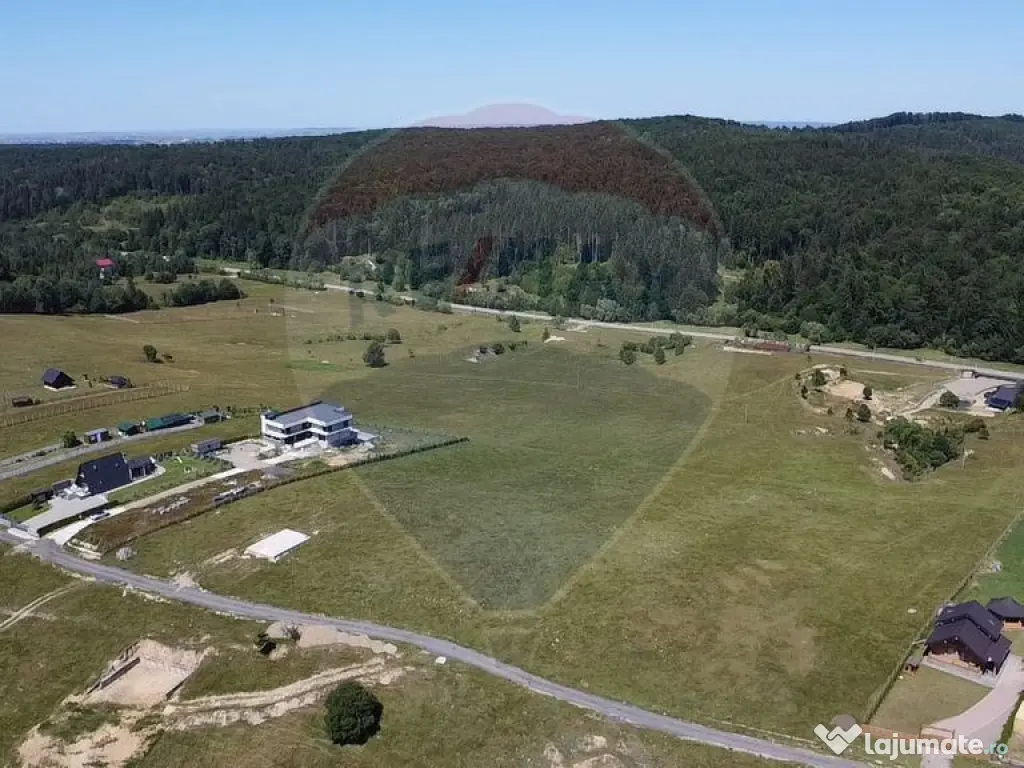 Teren 3,757mp Paltinoasa / Strada principala 
