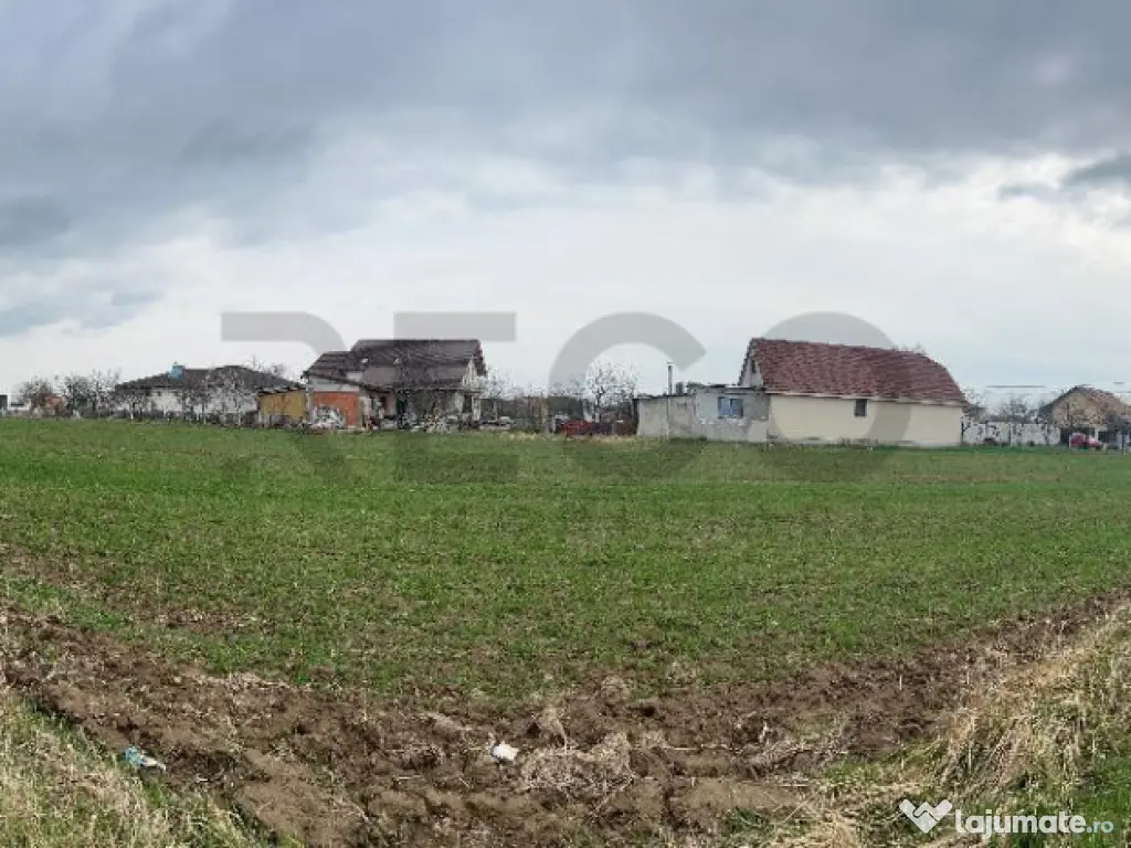 RECO IMOBILIARE,TEREN Cihei 