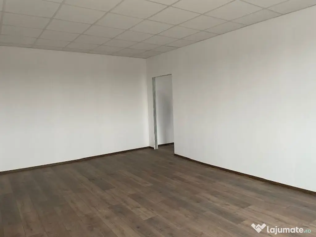 Spatiu depozitare si productie Soseaua de centrua Chitila