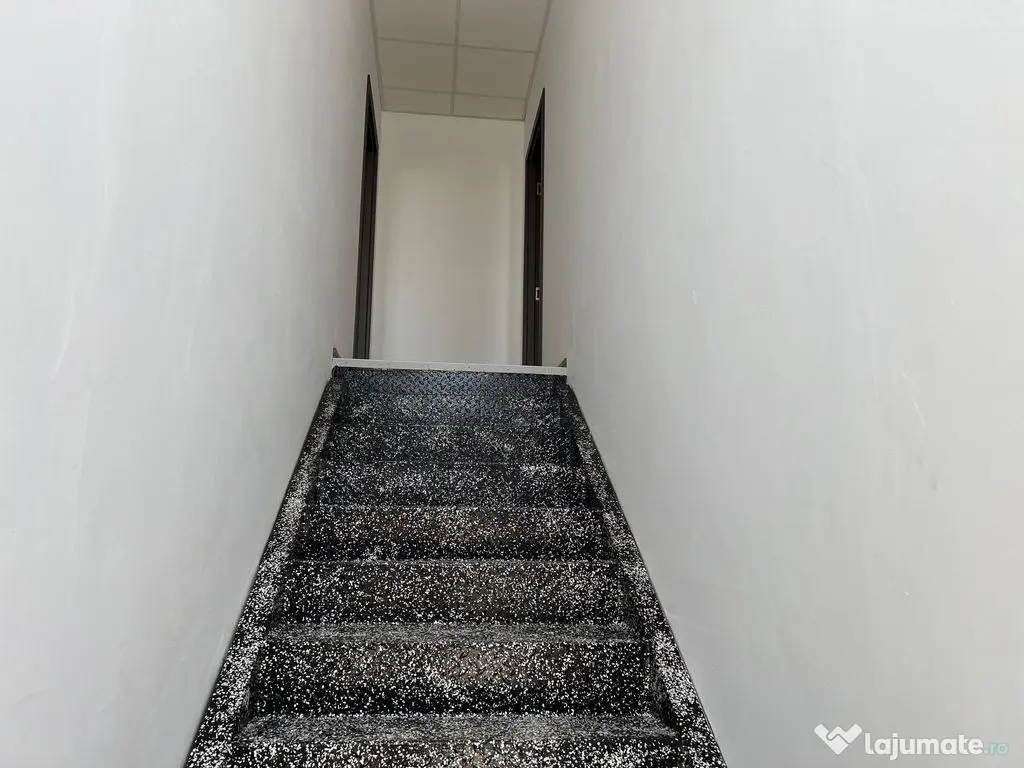 Spatiu depozitare si productie Soseaua de centrua Chitila