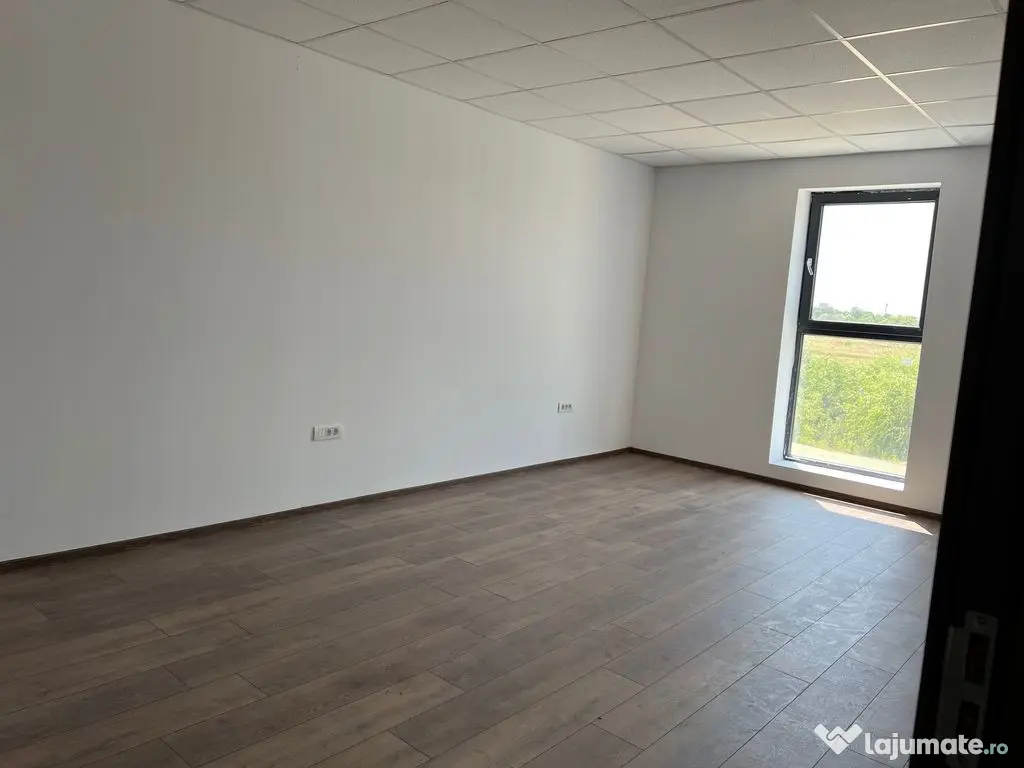 Spatiu depozitare si productie Soseaua de centrua Chitila