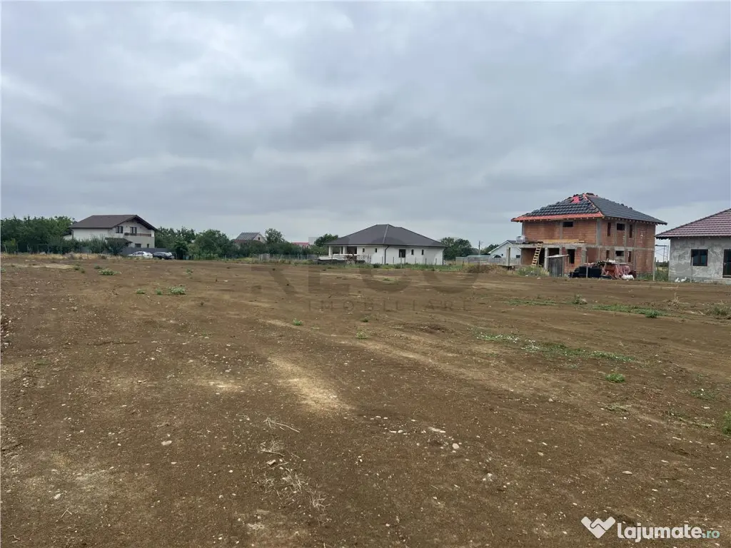 RECO teren Sanmartin 