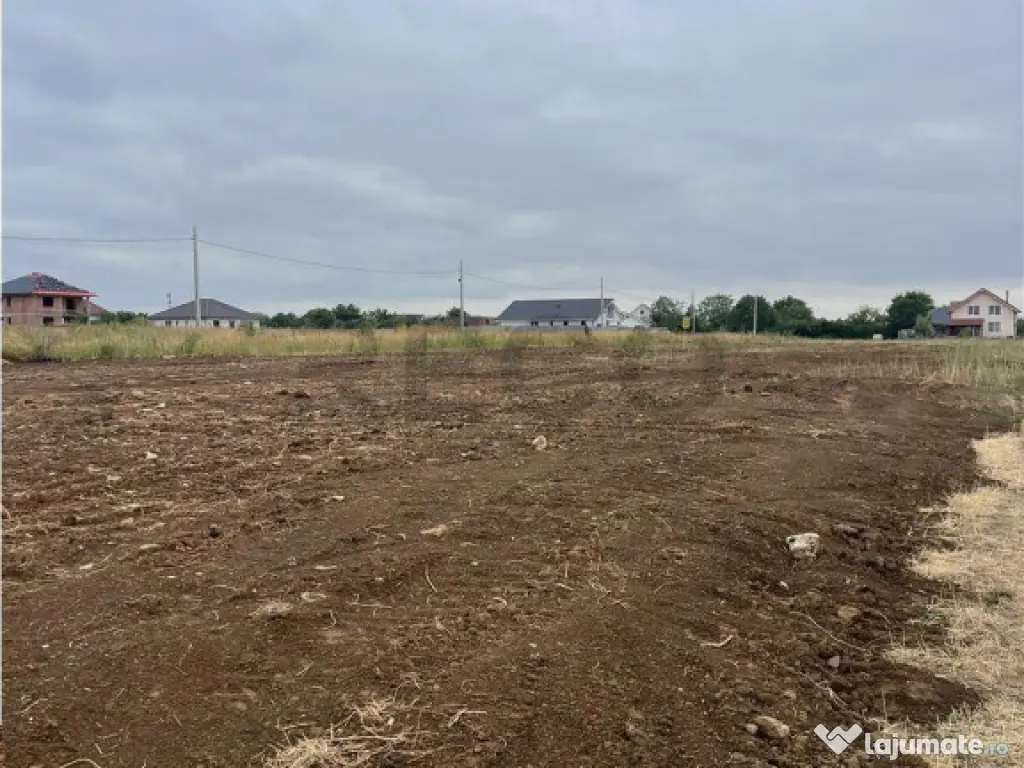 RECO Imobiliare teren Sanmartin 