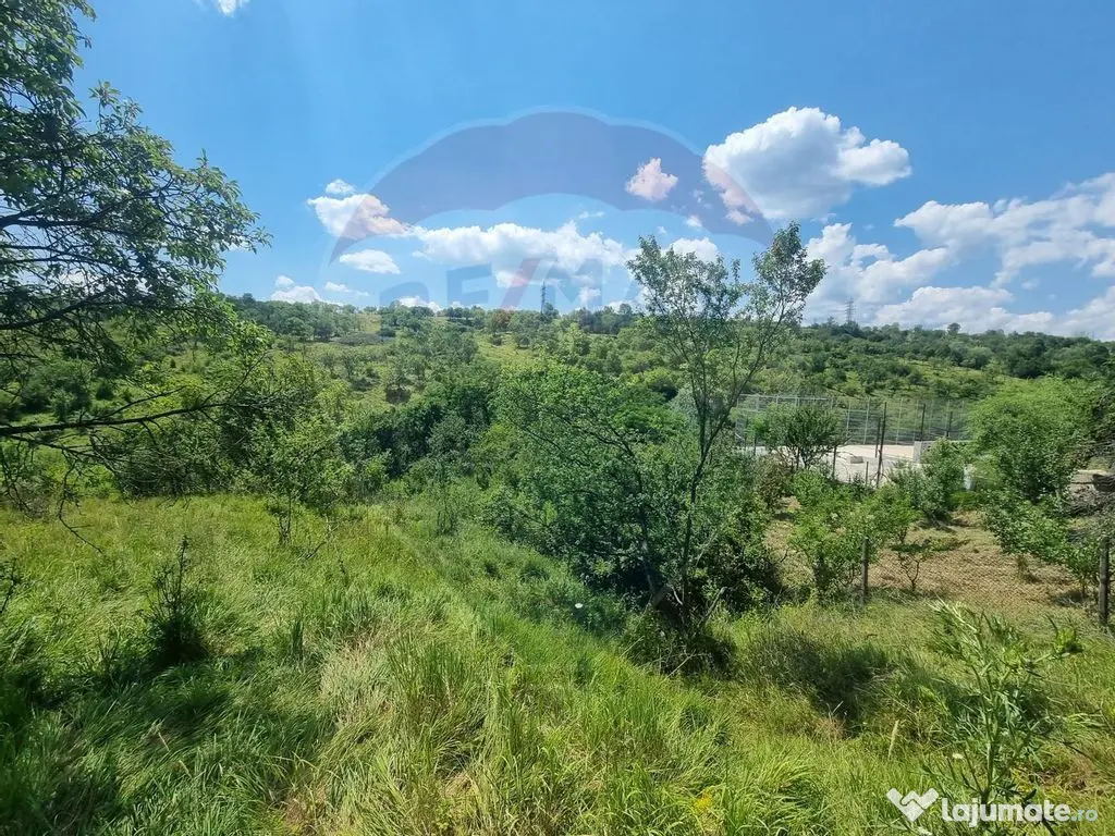 Teren intravilan 11.500 mp – Strada Cismari Vălenii ... 