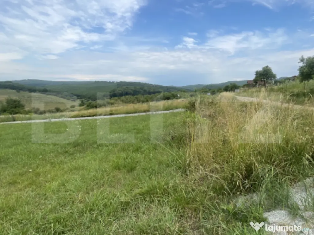 Teren de vânzare – zonă Subcetate, aproape de str. Tărp