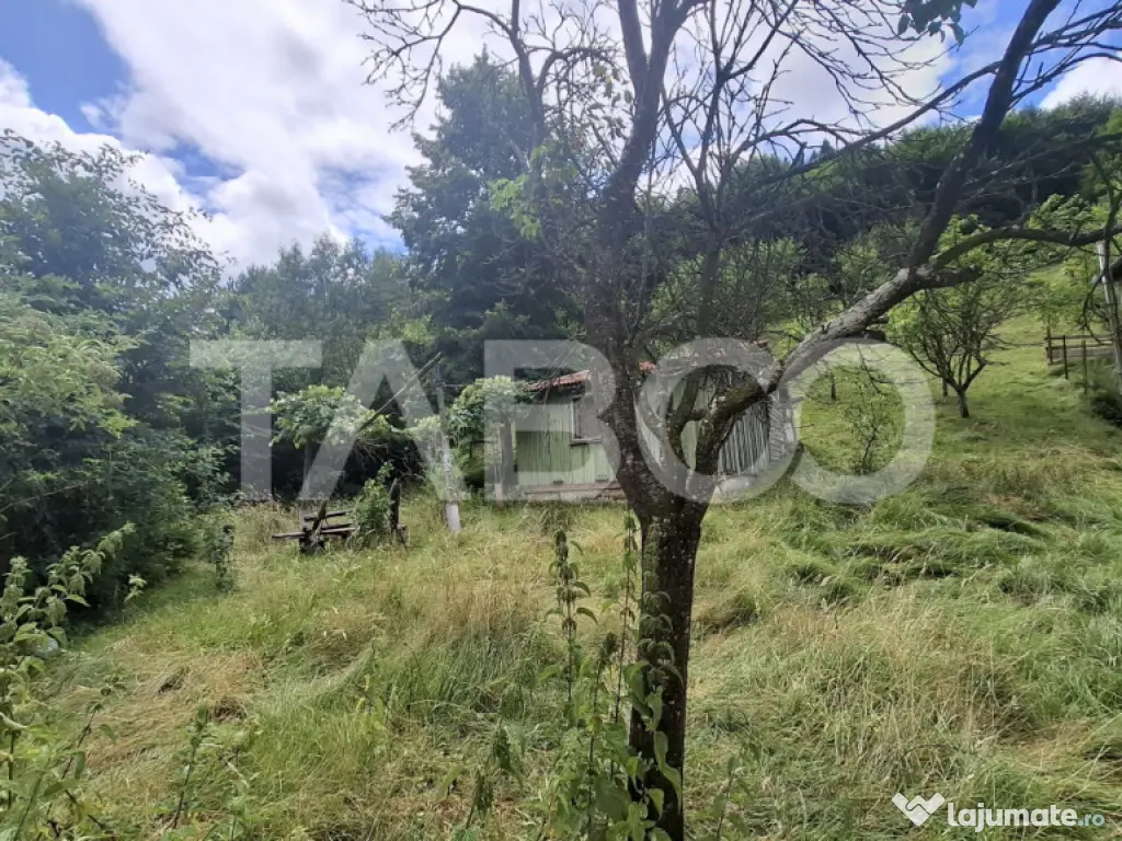 Teren 2500 mp Curmatura Rasinari 40 m deschidere la drum asf 