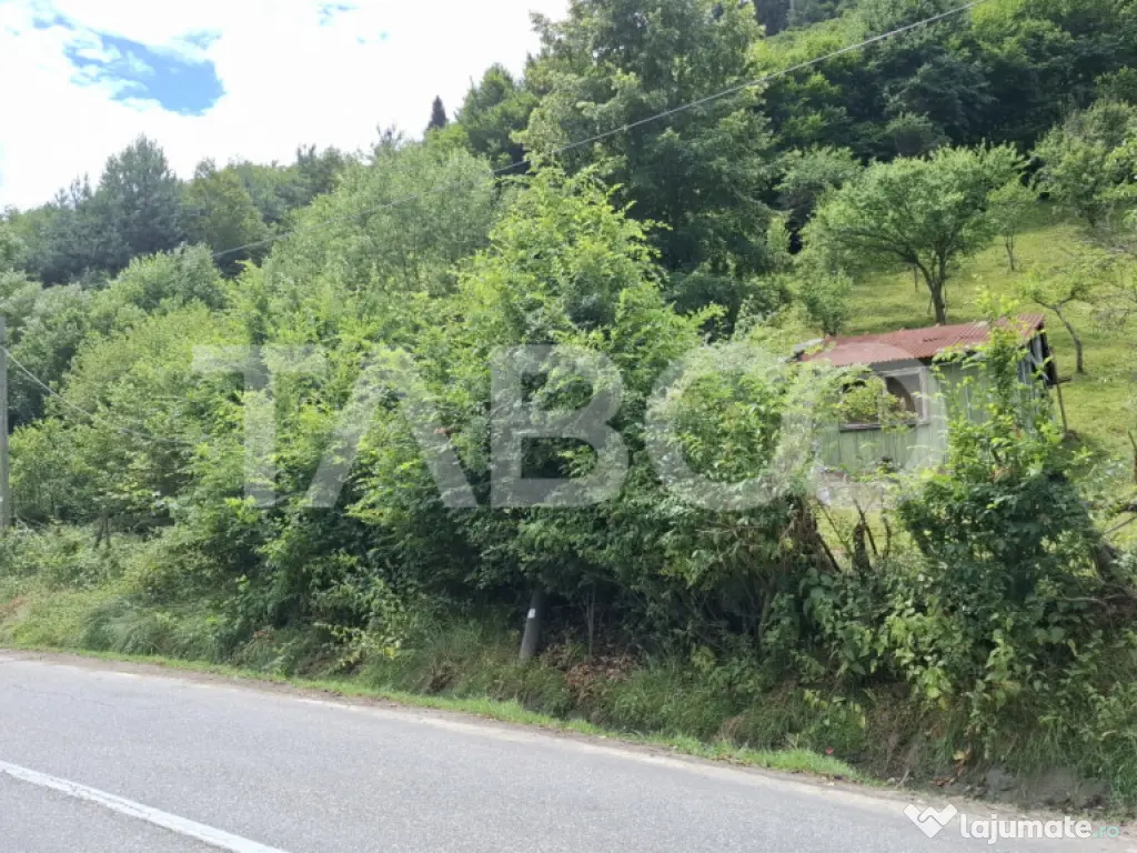 Teren 2500 mp Curmatura Rasinari 40 m deschidere la drum asf 