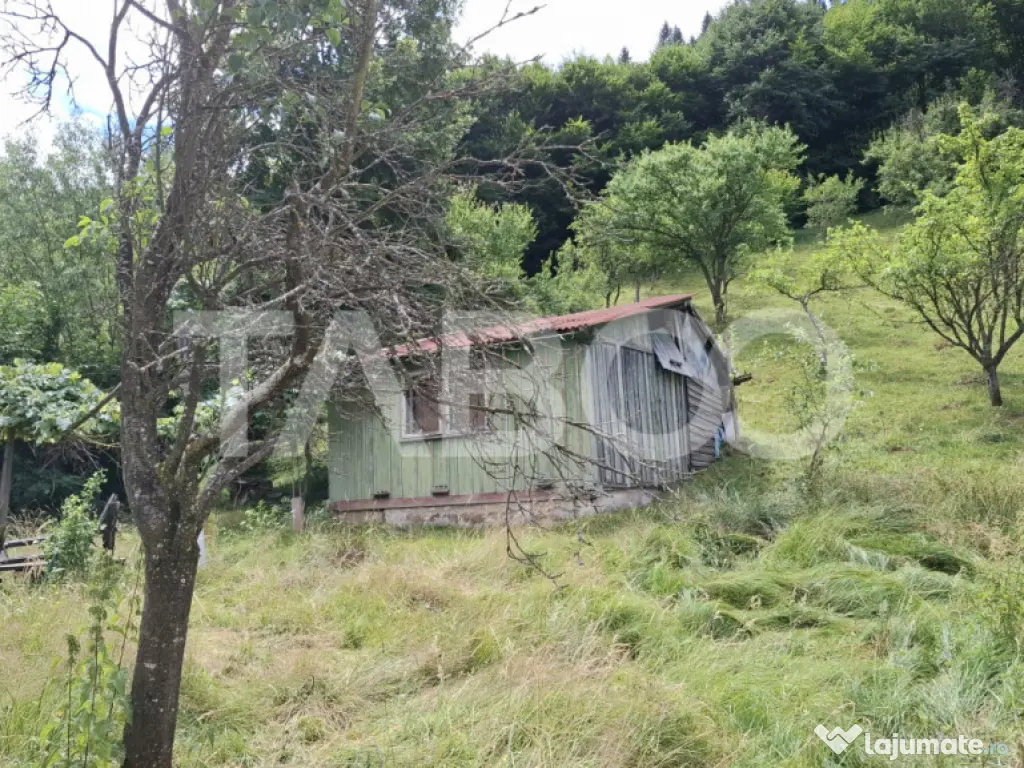 Teren 2500 mp Curmatura Rasinari 40 m deschidere la drum asf 