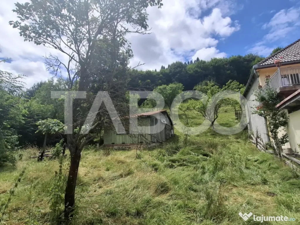 Teren 2500 mp Curmatura Rasinari 40 m deschidere la drum asf 