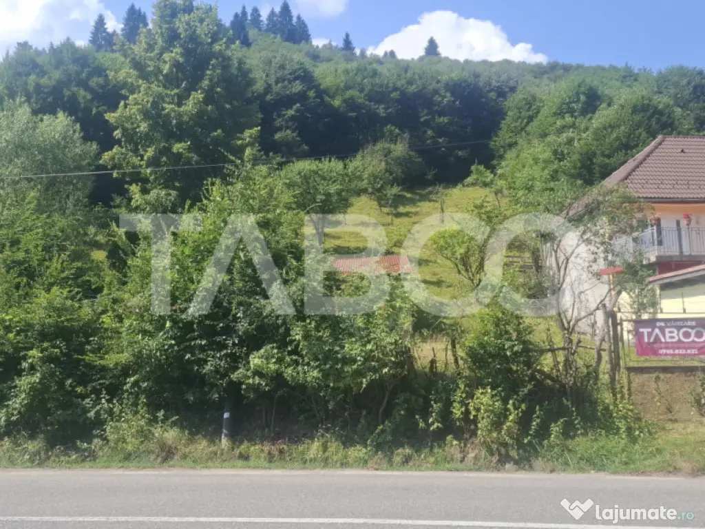 Teren 2500 mp Curmatura Rasinari 40 m deschidere la drum asf 