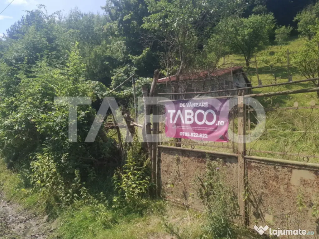 Teren 2500 mp Curmatura Rasinari 40 m deschidere la drum asf 