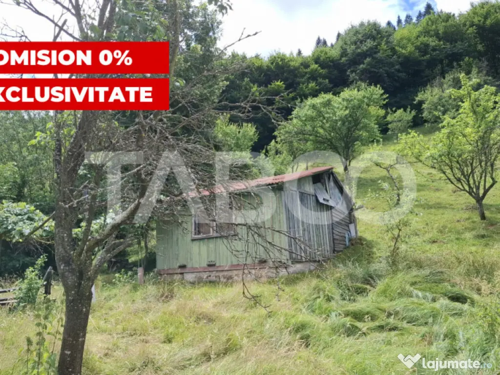 Teren 2500 mp Curmatura Rasinari 40 m deschidere la drum asf 