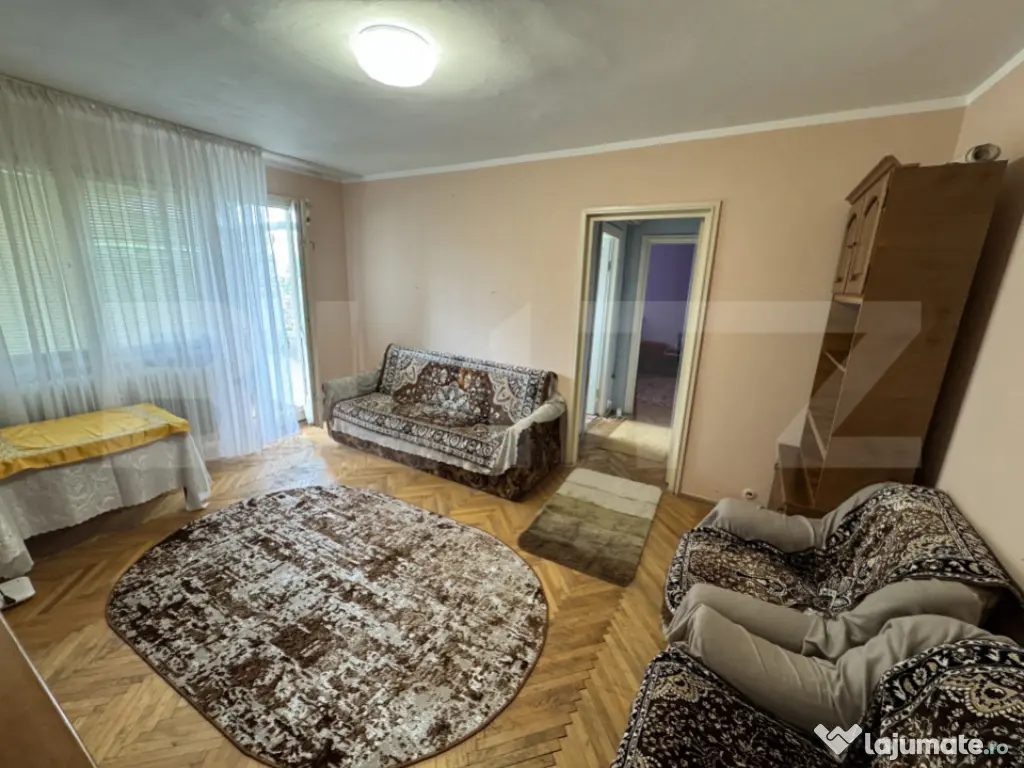 Apartament modest 2 camere, aer conditionat, Brazda lui Nova
