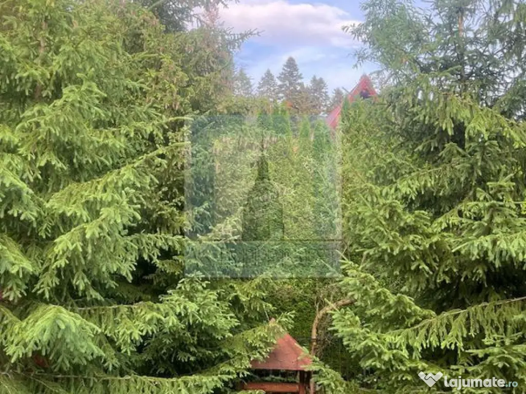 Casa/Vila de vanzare in Predeal 