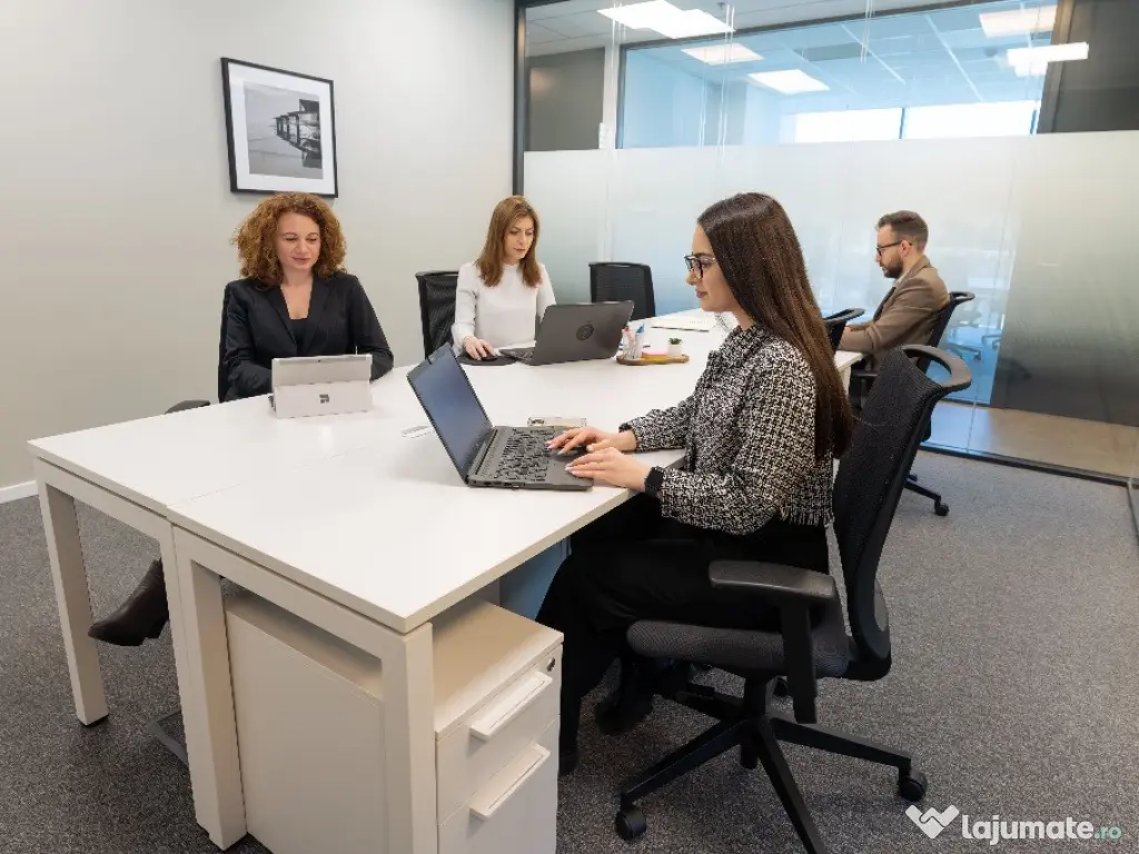 Spațiu privat pentru 4 – Regus Iulius Business Centre 