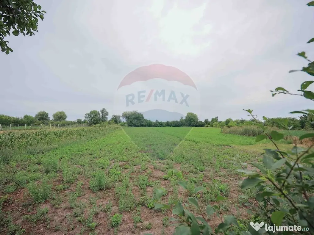 De vânzare casă cu 3 camere și teren 3205 mp în Sânn... 