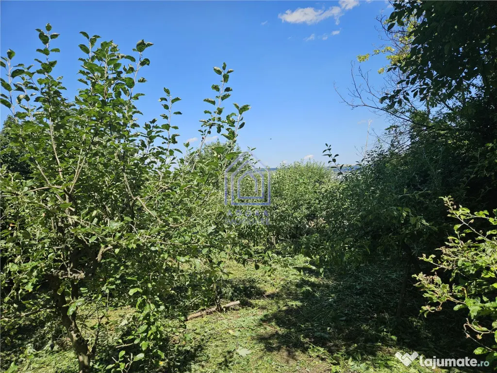 Teren , strada M. Sadoveanu, 7 ari.