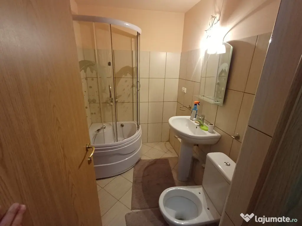 Inchiriere garsoniera etaj 1 Cantacuzino - Pisica Alba 