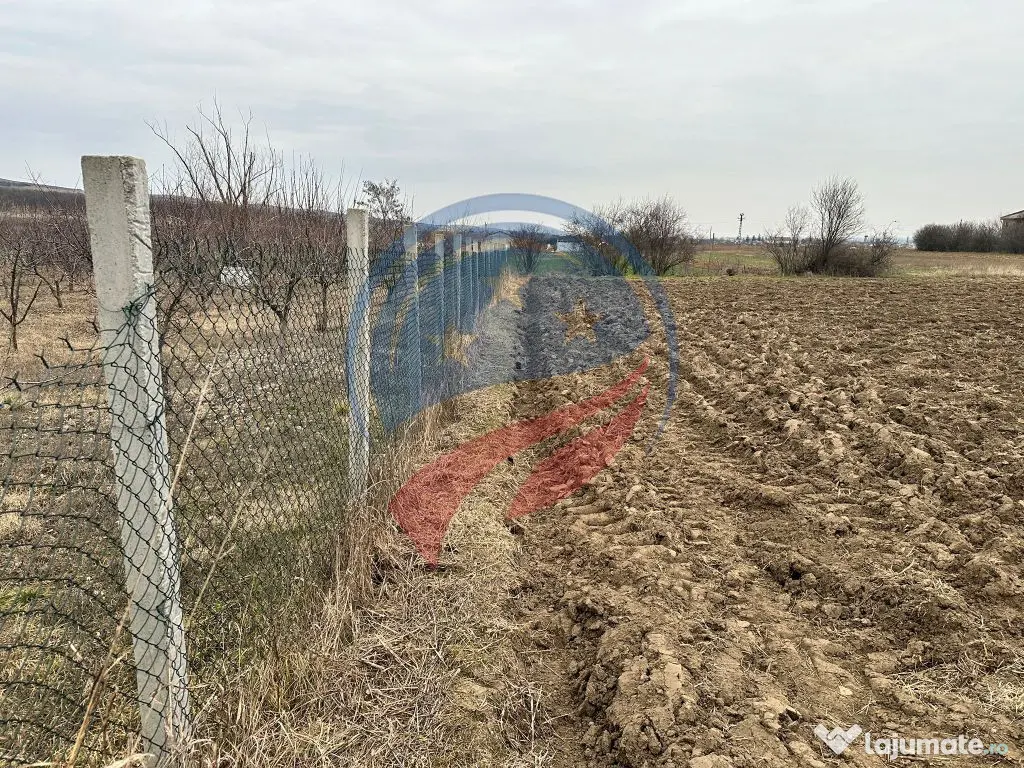 Teren 935mp Bradesti / Strada Valea Rea 