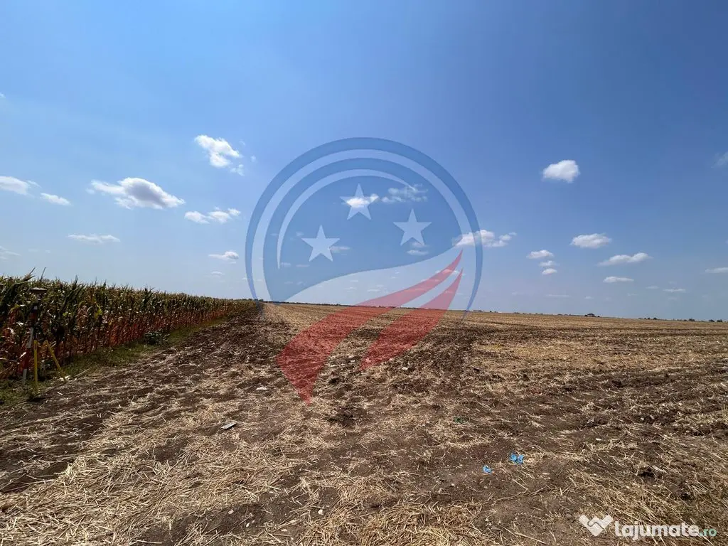 Teren intravilan de vanzare in Pielesti 