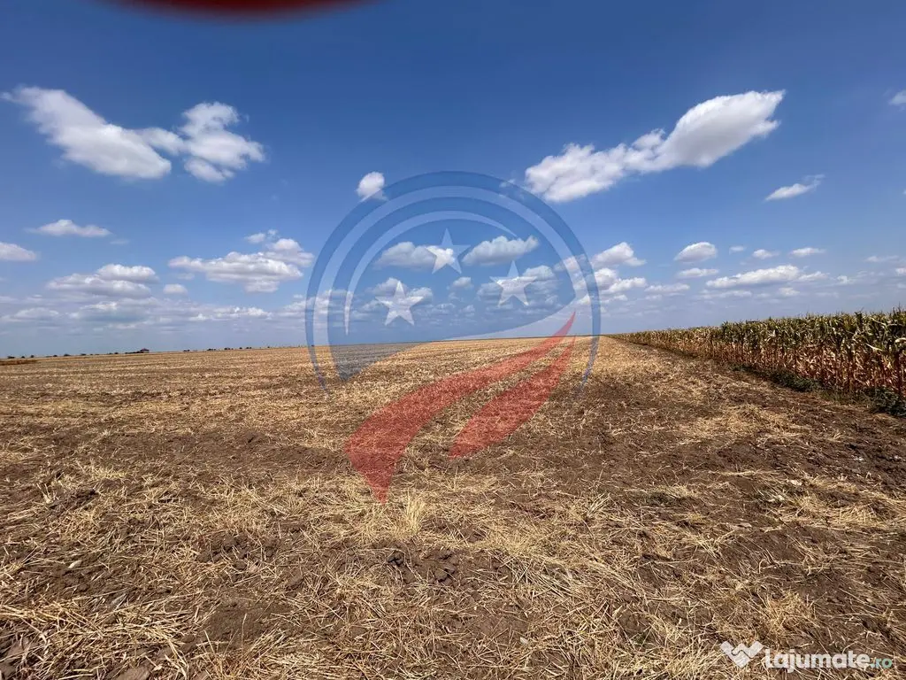 Teren intravilan de vanzare in Pielesti 