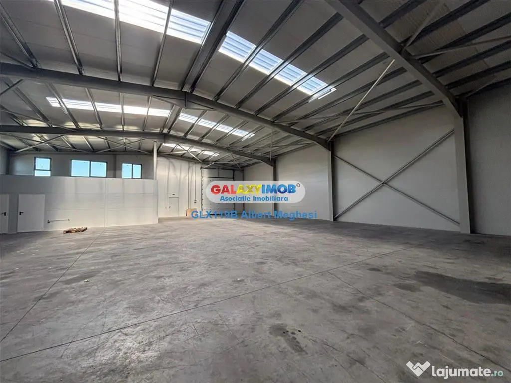 Hala depozitare Parc Industrial TBM Rudeni 