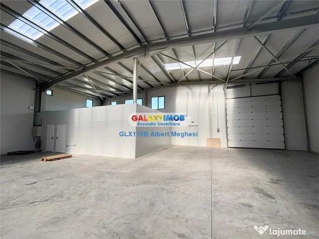 Hala depozitare Parc Industrial TBM Rudeni 