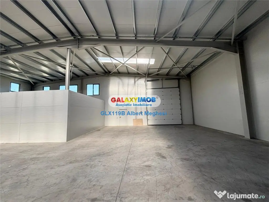 Hala depozitare Parc Industrial TBM Rudeni 