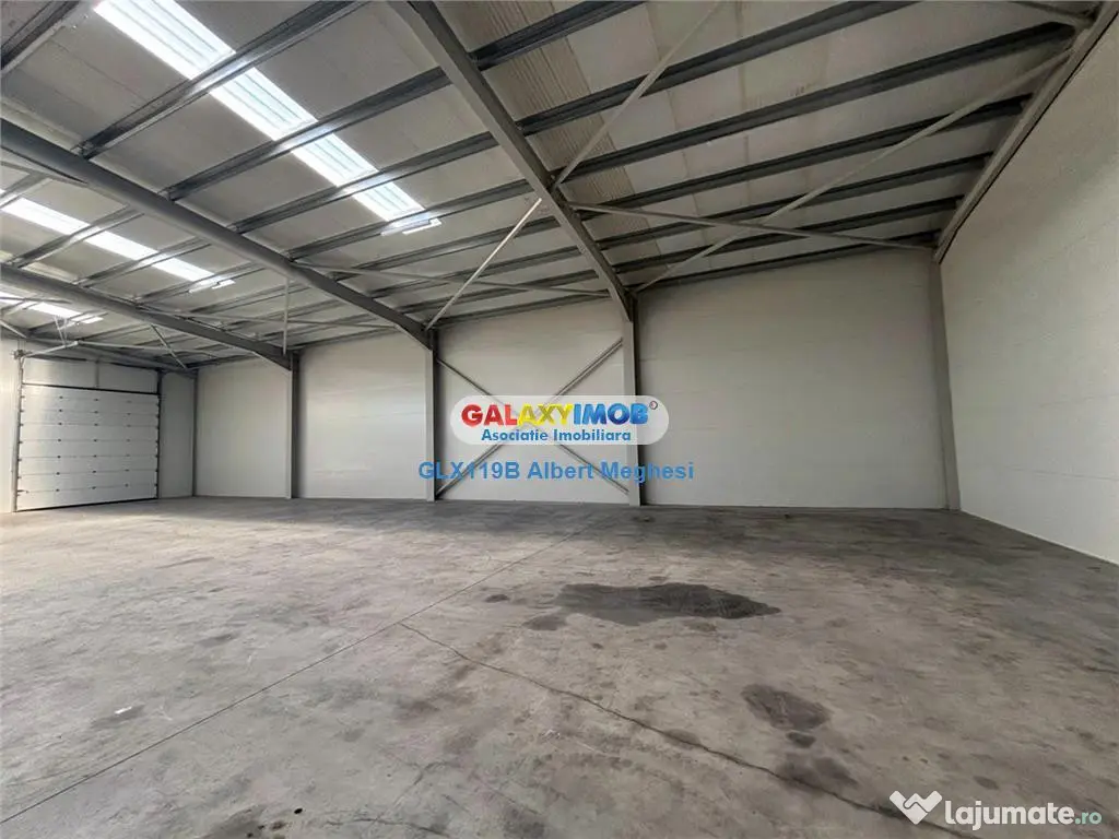 Hala depozitare Parc Industrial TBM Rudeni 