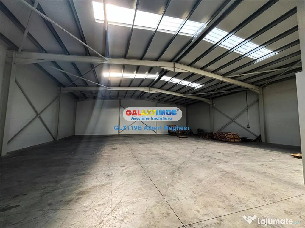 Hala depozitare Parc Industrial TBM Rudeni 