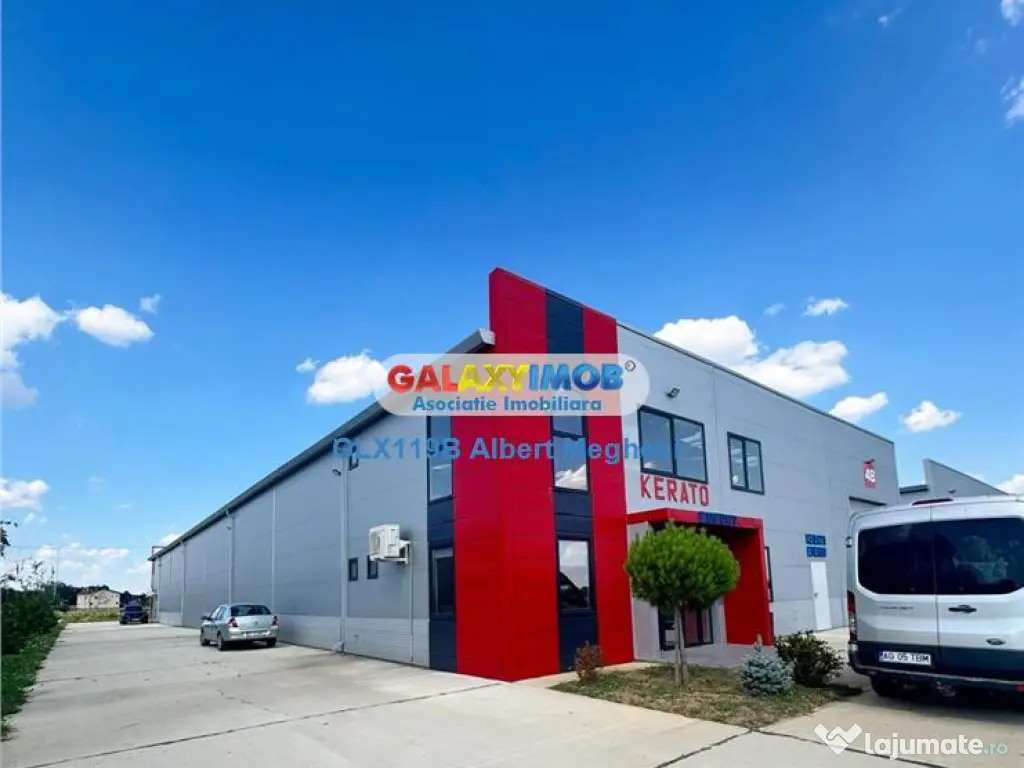 Hala depozitare Parc Industrial TBM Rudeni 