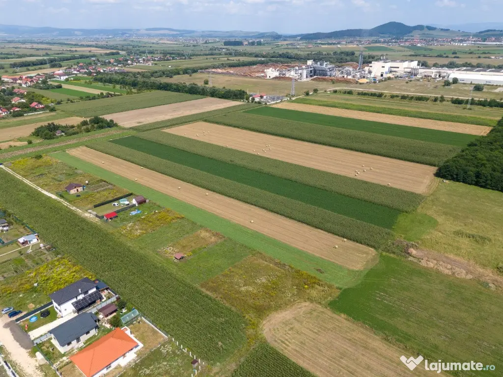 Teren de vanzare - Zona Stupini - COMISION 0% 