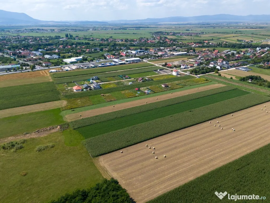 Teren de vanzare - Zona Stupini - COMISION 0% 