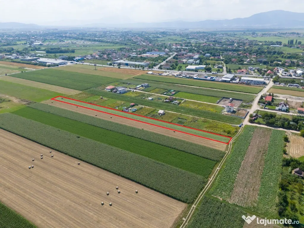 Teren de vanzare - Zona Stupini - COMISION 0% 