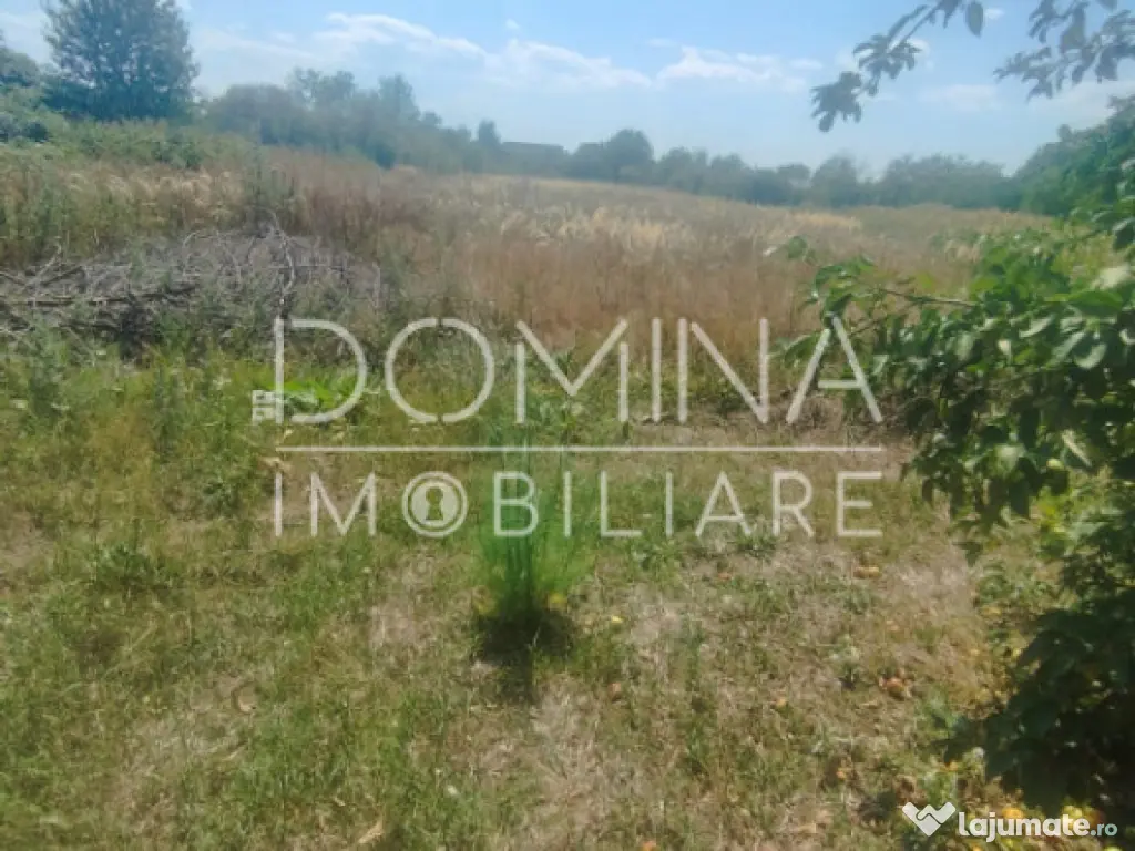 Teren intravilan situat pe strada Vârful Mândra,