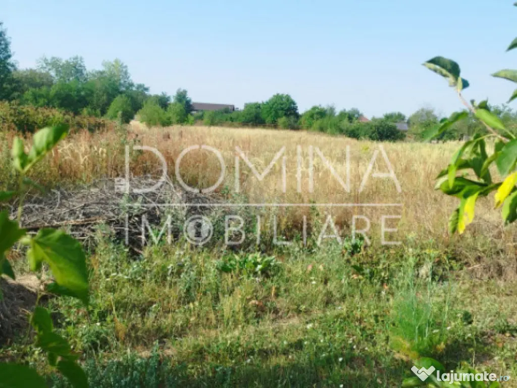 Teren intravilan situat pe strada Vârful Mândra,