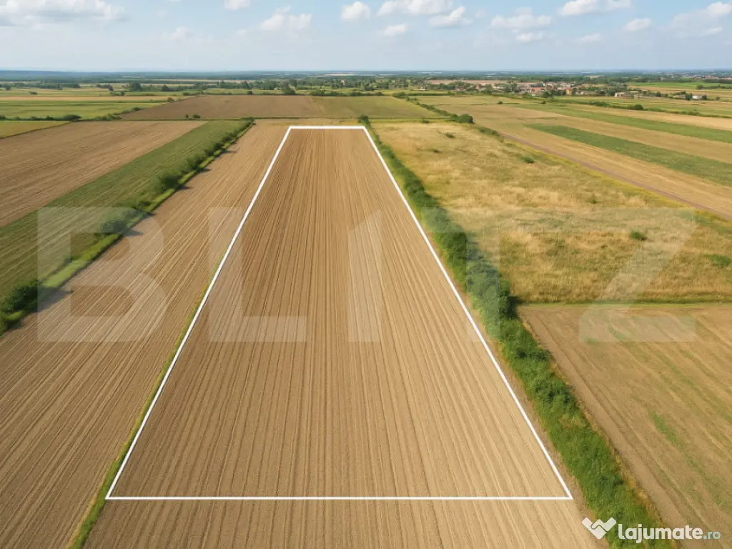 Teren de vânzare – 11.600 mp – Stupini