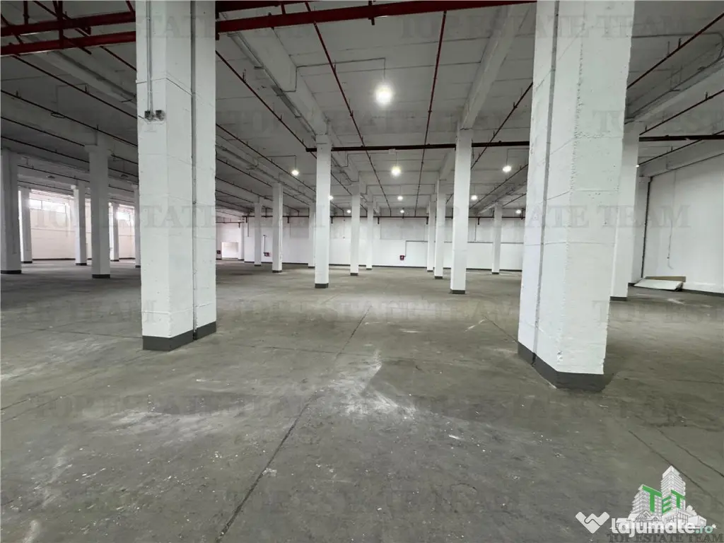 Hala industriala de inchiriat in Drumul Taberei / Sector 6 