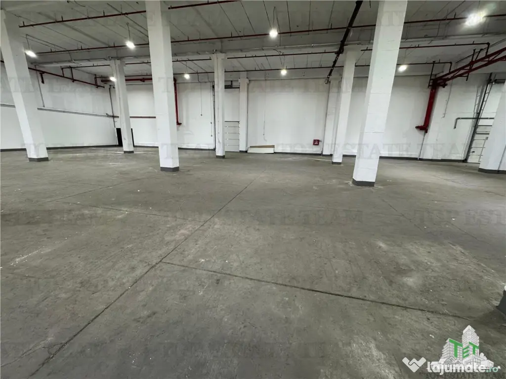 Hala industriala de inchiriat in Drumul Taberei / Sector 6 