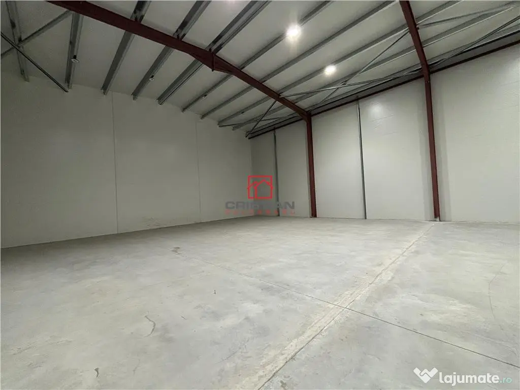 Depozit/hala/spatiu industrial Theodor Pallady - Drumul Int 