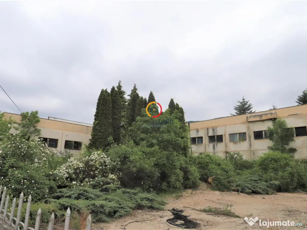 Oportunitate de investitie 