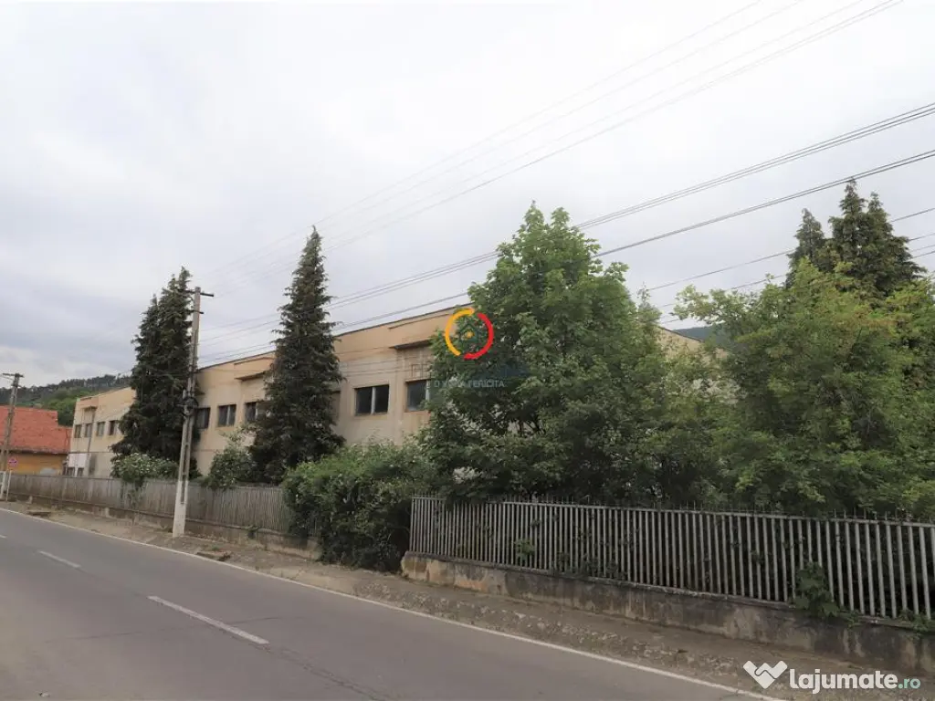 Oportunitate de investitie 